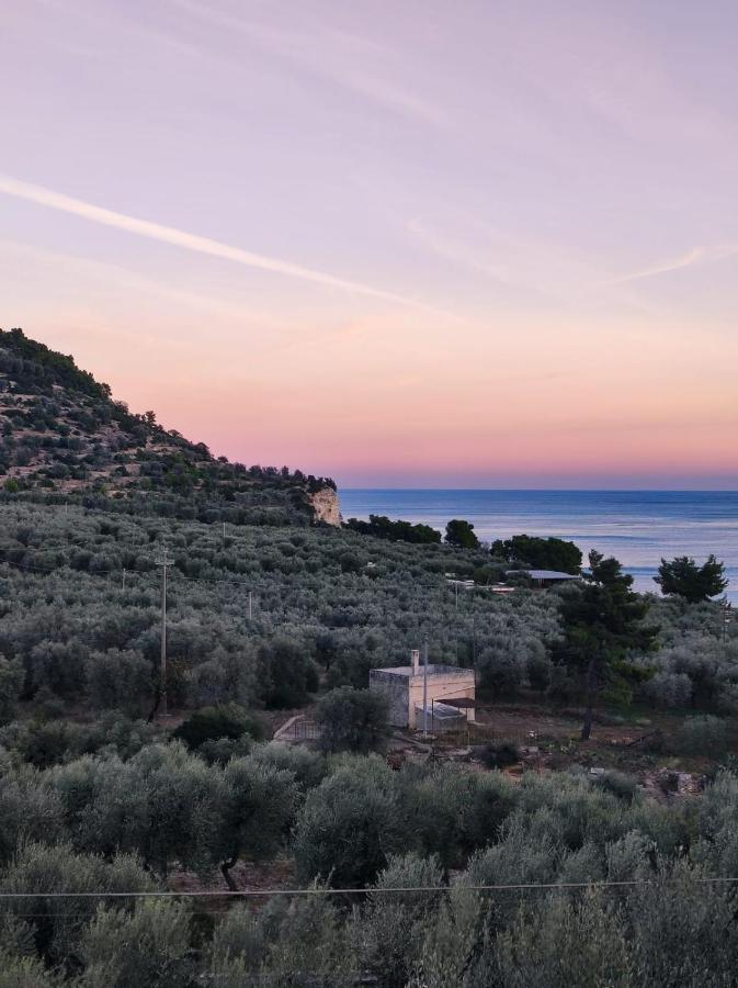Dimora Mediterranea Mattinata Buitenkant foto