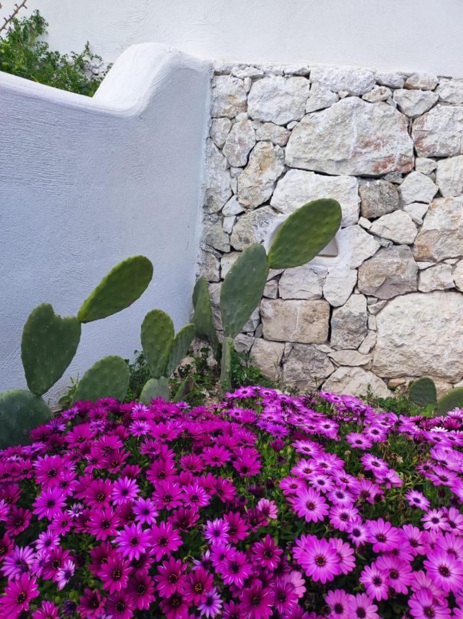 Dimora Mediterranea Mattinata Buitenkant foto