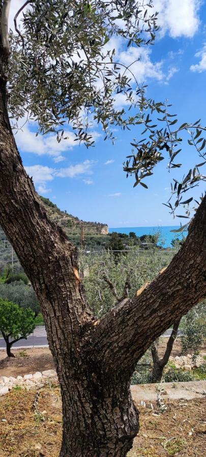Dimora Mediterranea Mattinata Buitenkant foto
