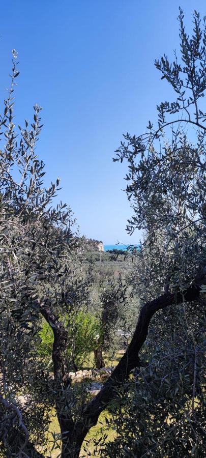 Dimora Mediterranea Mattinata Buitenkant foto